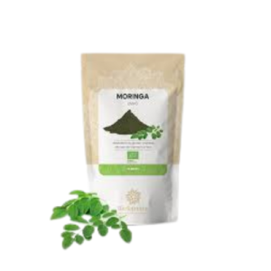 MORINGA EM PO BIO